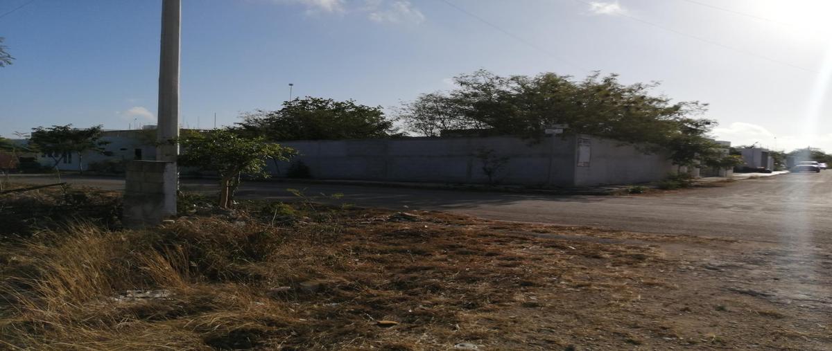 Foto de terreno habitacional en venta en  , dzitya, mérida, yucatán, 30478246 No. 03