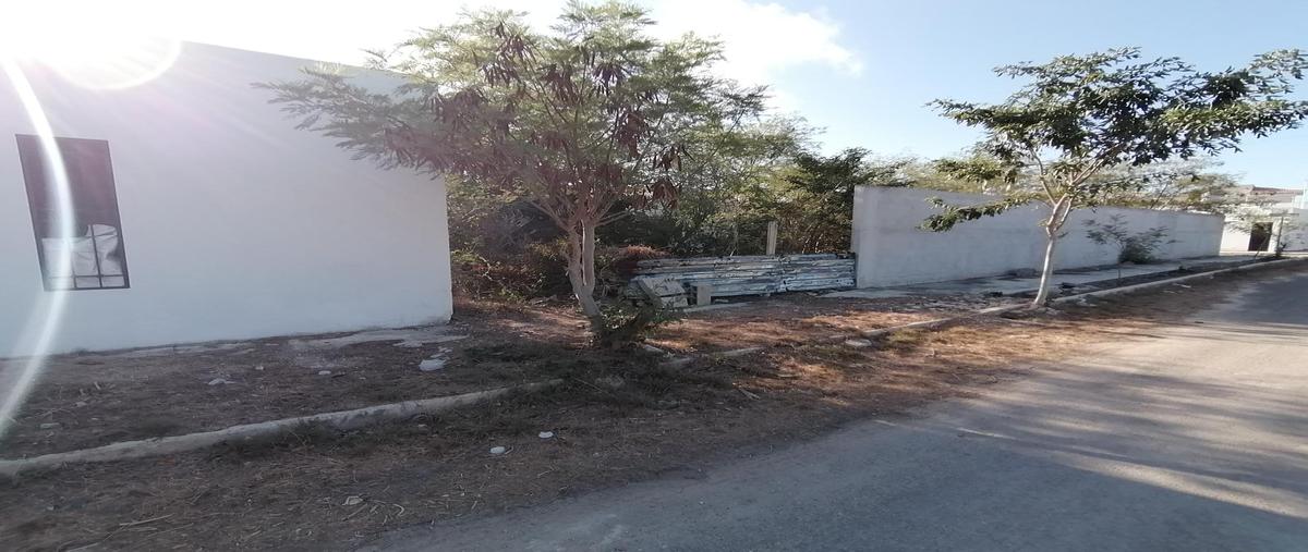 Foto de terreno habitacional en venta en  , dzitya, mérida, yucatán, 0 No. 05