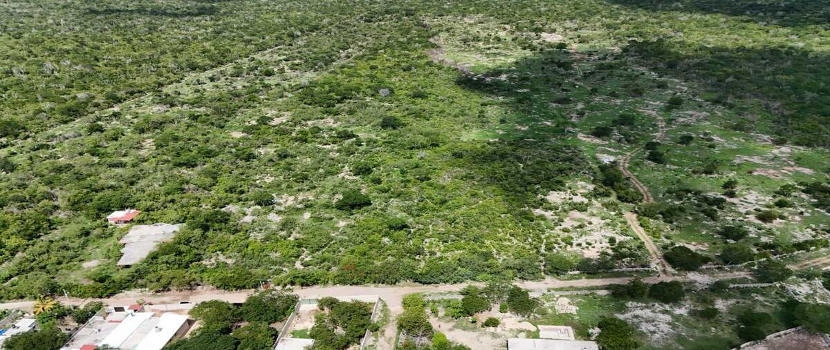 Foto de terreno habitacional en . , dzitya, mérida, yucatán, 0 foto 02 Foto de terreno habitacional en venta en . , dzitya, mérida, yucatán, 0 No. 02