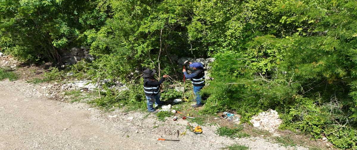 Foto de terreno habitacional en . , dzitya, mérida, yucatán, 0 foto 05 Foto de terreno habitacional en venta en . , dzitya, mérida, yucatán, 0 No. 05