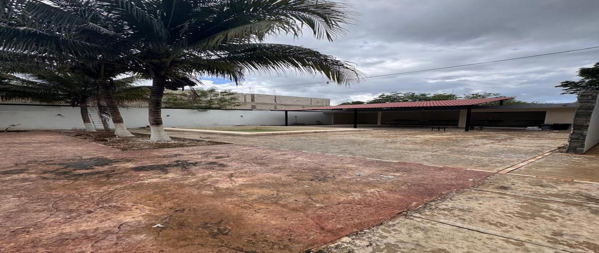 Foto de local en , dzitya, mérida, yucatán, 0 foto 02 Foto de local en venta en , dzitya, mérida, yucatán, 0 No. 02