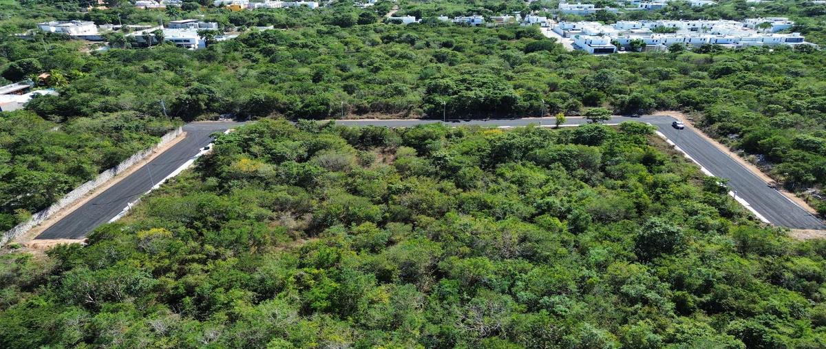 Foto de terreno habitacional en venta en  , dzitya, mérida, yucatán, 0 No. 03