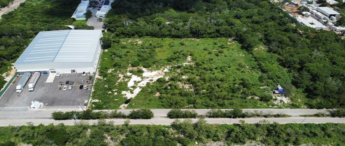 Foto de terreno habitacional en , dzitya, mérida, yucatán, 30603405 foto 02 Foto de terreno habitacional en renta en , dzitya, mérida, yucatán, 30603405 No. 02
