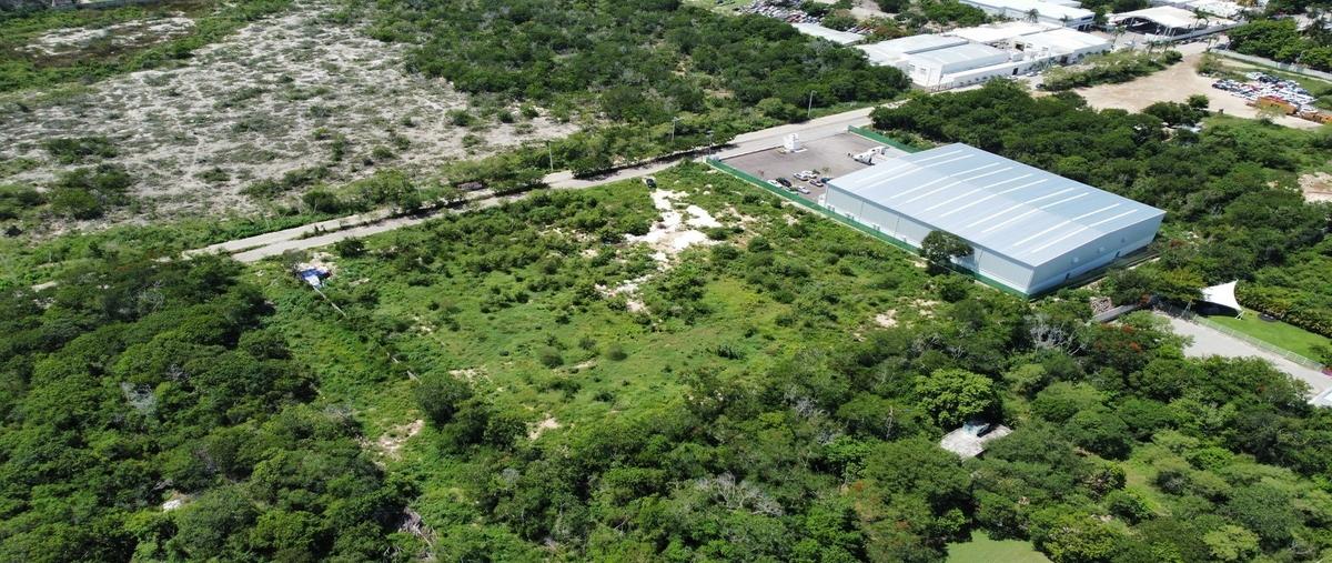 Foto de terreno habitacional en renta en  , dzitya, mérida, yucatán, 30603436 No. 08