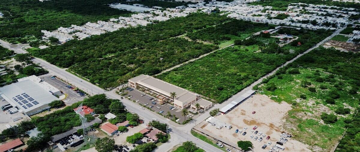 Foto de local en , dzitya, mérida, yucatán, 0 foto 05 Foto de local en renta en , dzitya, mérida, yucatán, 0 No. 05