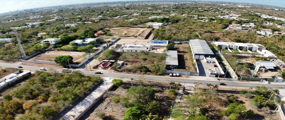Foto de terreno habitacional en venta en  , dzitya, mérida, yucatán, 30609694 No. 05