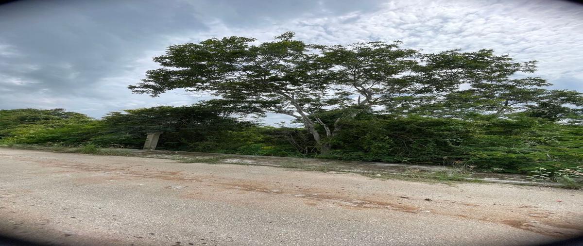 Foto de terreno habitacional en venta en  , dzitya, mérida, yucatán, 0 No. 03