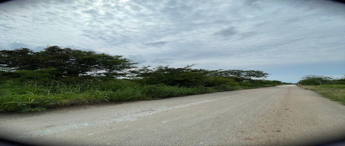Foto de terreno habitacional en venta en  , dzitya, mérida, yucatán, 0 No. 05