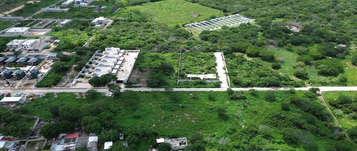 Foto de terreno habitacional en venta en  , dzitya, mérida, yucatán, 30687208 No. 04