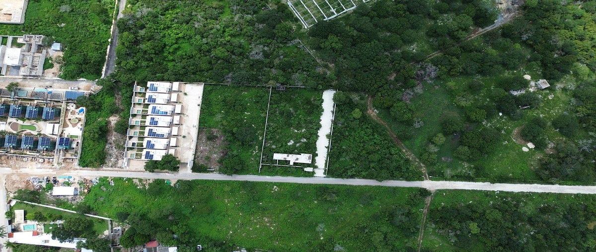 Foto de terreno habitacional en venta en  , dzitya, mérida, yucatán, 30687208 No. 05