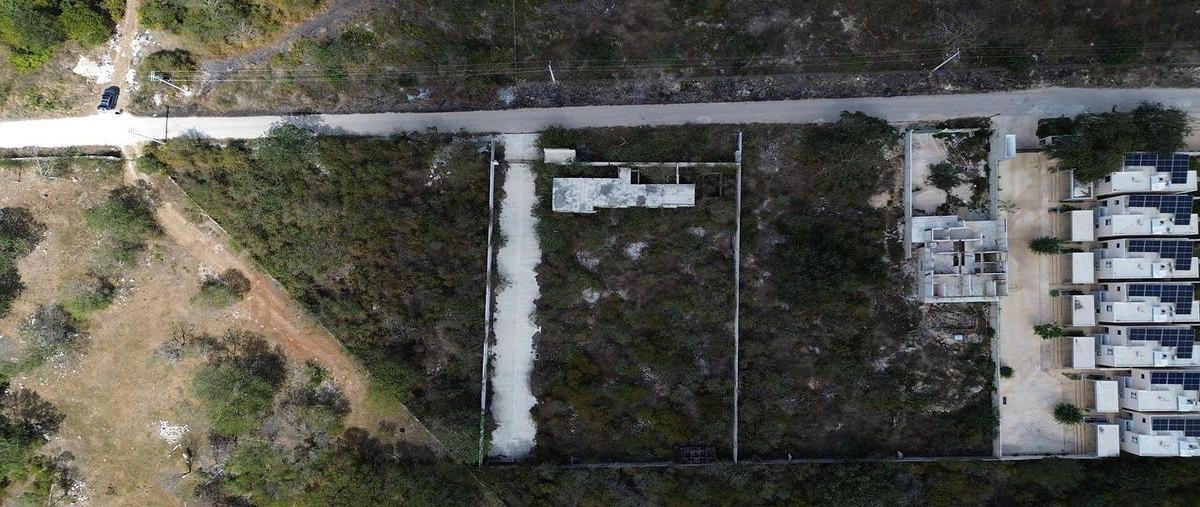 Foto de terreno habitacional en venta en  , dzitya, mérida, yucatán, 30687212 No. 05