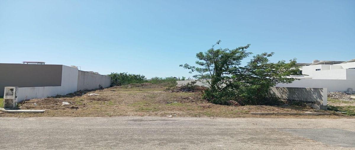 Foto de terreno habitacional en , dzitya, mérida, yucatán, 30710986 foto 02 Foto de terreno habitacional en venta en , dzitya, mérida, yucatán, 30710986 No. 02