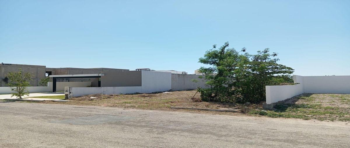 Foto de terreno habitacional en , dzitya, mérida, yucatán, 30710986 foto 03 Foto de terreno habitacional en venta en , dzitya, mérida, yucatán, 30710986 No. 03
