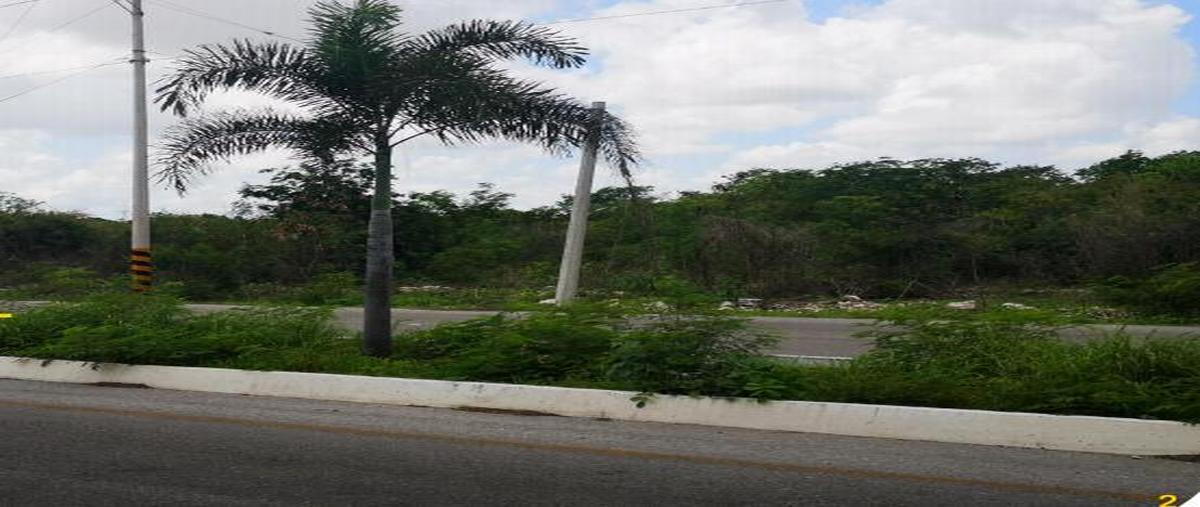 Foto de terreno habitacional en venta en  , dzitya, mérida, yucatán, 30711029 No. 05