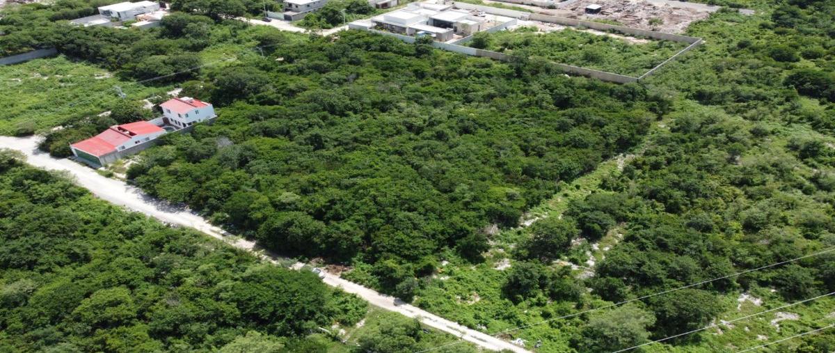 Foto de terreno habitacional en , dzitya, mérida, yucatán, 30711034 foto 03 Foto de terreno habitacional en venta en , dzitya, mérida, yucatán, 30711034 No. 03
