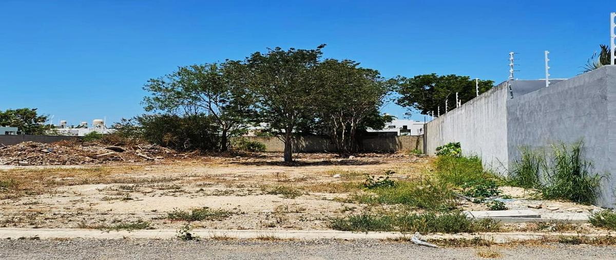 Foto de terreno habitacional en venta en  , dzitya, mérida, yucatán, 0 No. 03