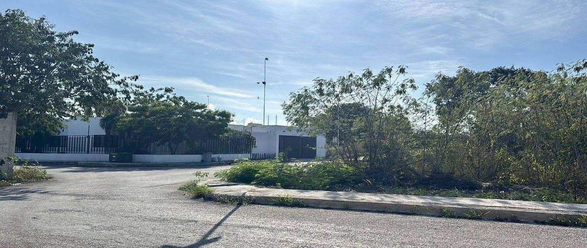 Foto de terreno habitacional en , dzitya, mérida, yucatán, 0 foto 01 Foto de terreno habitacional en venta en , dzitya, mérida, yucatán, 0 No. 01