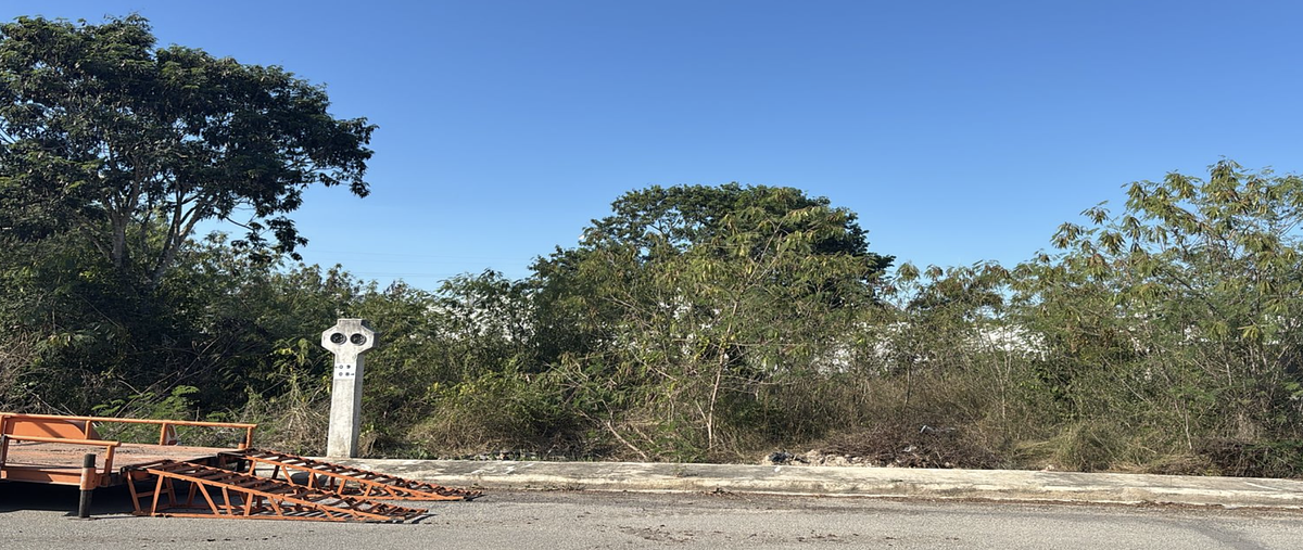 Foto de terreno habitacional en , dzitya, mérida, yucatán, 30772630 foto 02 Foto de terreno habitacional en venta en , dzitya, mérida, yucatán, 30772630 No. 02