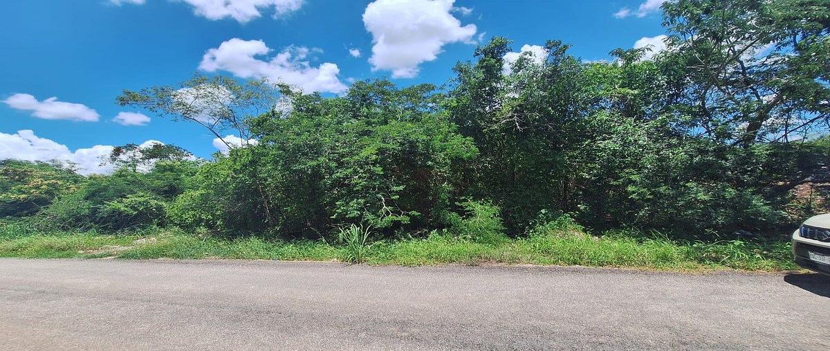 Foto de terreno habitacional en , dzitya, mérida, yucatán, 30818992 foto 02 Foto de terreno habitacional en venta en , dzitya, mérida, yucatán, 30818992 No. 02