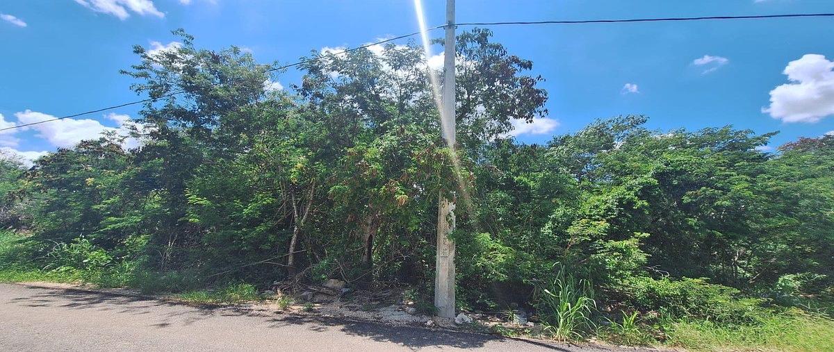 Foto de terreno habitacional en , dzitya, mérida, yucatán, 30818992 foto 06 Foto de terreno habitacional en venta en , dzitya, mérida, yucatán, 30818992 No. 06