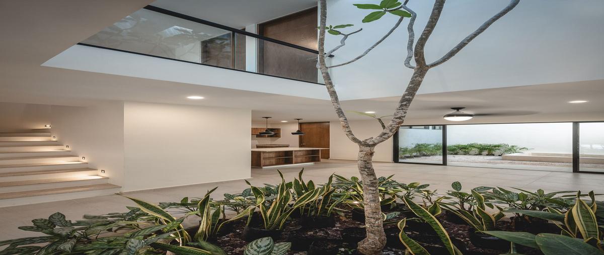 Foto de rancho en venta en  , dzitya, mérida, yucatán, 0 No. 04