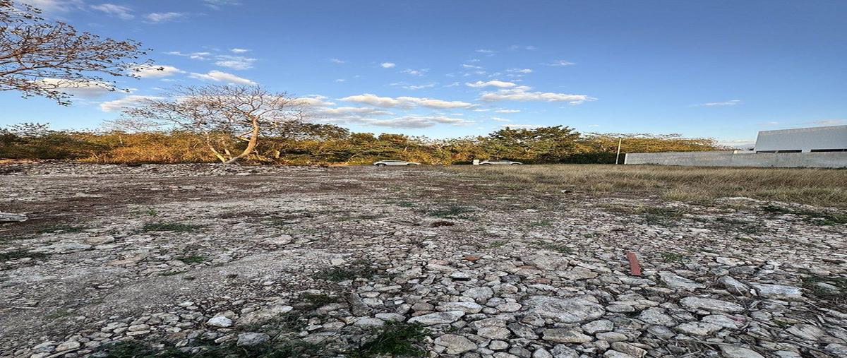 Foto de terreno habitacional en , dzitya, mérida, yucatán, 0 foto 02 Foto de terreno habitacional en venta en , dzitya, mérida, yucatán, 0 No. 02