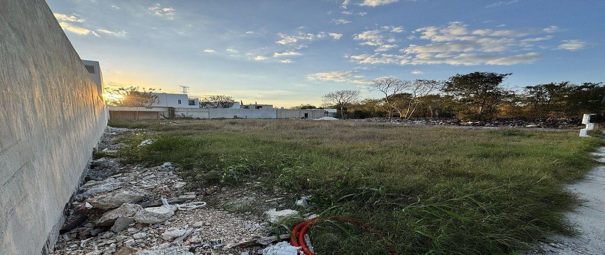 Foto de terreno habitacional en , dzitya, mérida, yucatán, 0 foto 03 Foto de terreno habitacional en venta en , dzitya, mérida, yucatán, 0 No. 03