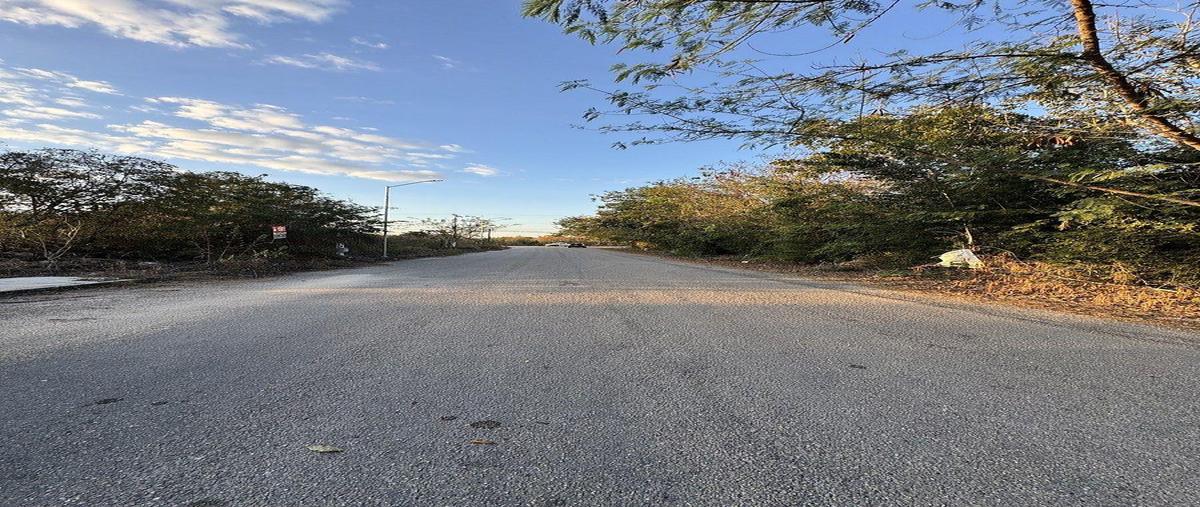 Foto de terreno habitacional en , dzitya, mérida, yucatán, 0 foto 04 Foto de terreno habitacional en venta en , dzitya, mérida, yucatán, 0 No. 04