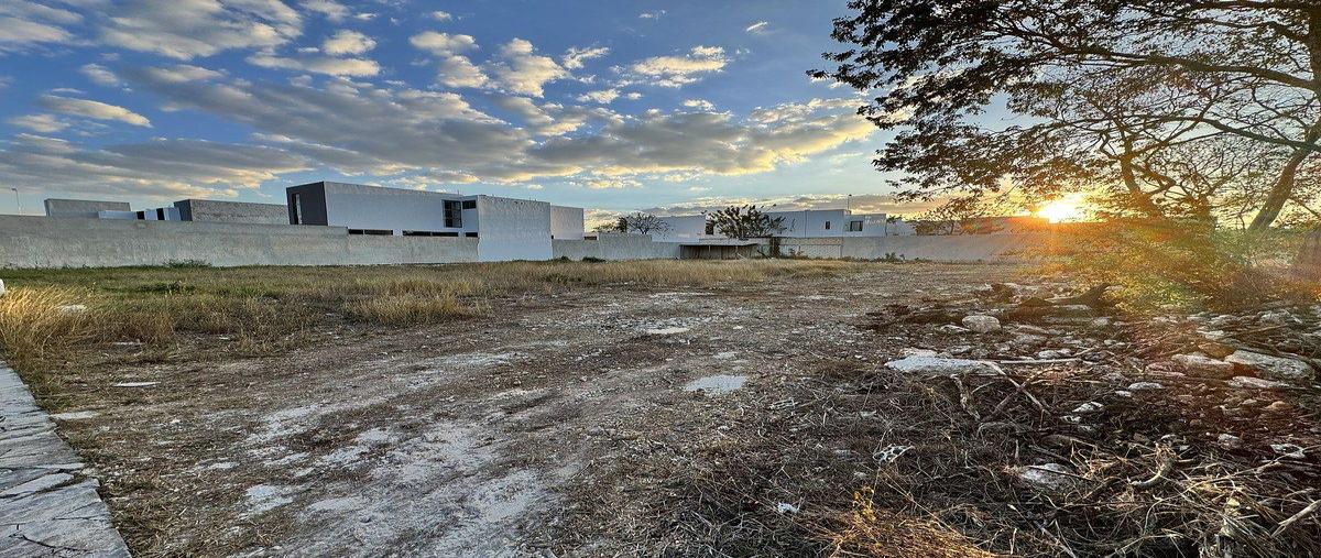 Foto de terreno habitacional en , dzitya, mérida, yucatán, 0 foto 05 Foto de terreno habitacional en venta en , dzitya, mérida, yucatán, 0 No. 05