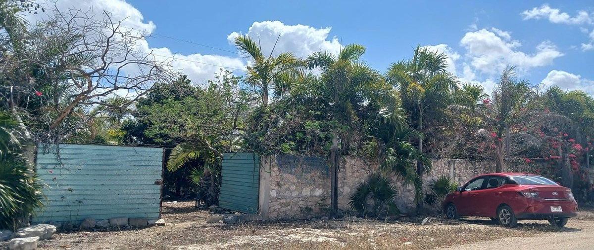 Foto de terreno habitacional en venta en  , dzitya, mérida, yucatán, 30876391 No. 05