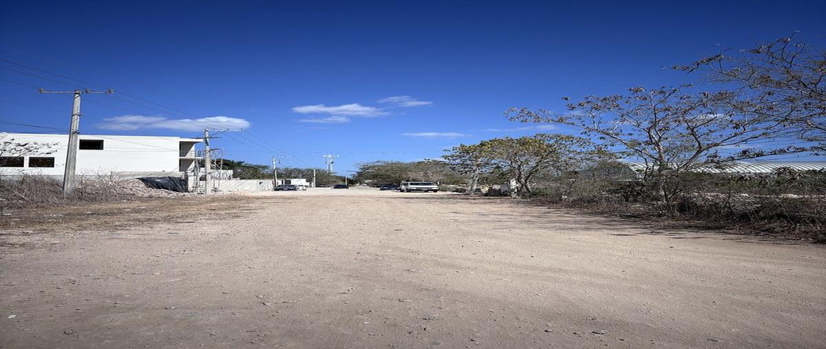 Foto de terreno habitacional en venta en  , dzitya, mérida, yucatán, 30886170 No. 03