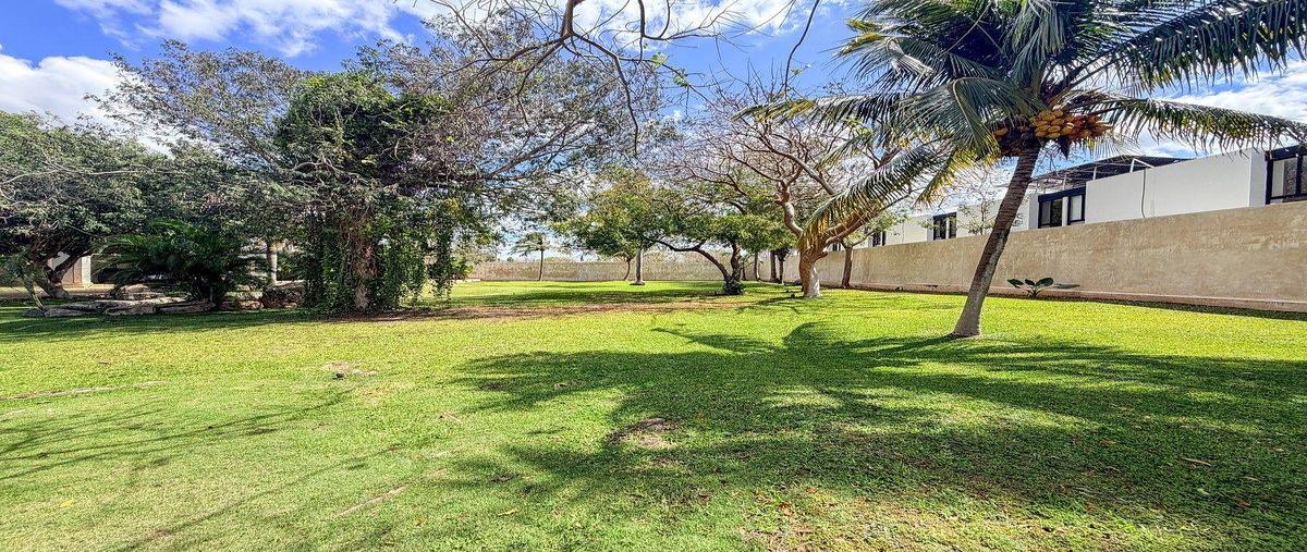 Foto de terreno habitacional en venta en  , dzitya, mérida, yucatán, 30948996 No. 04