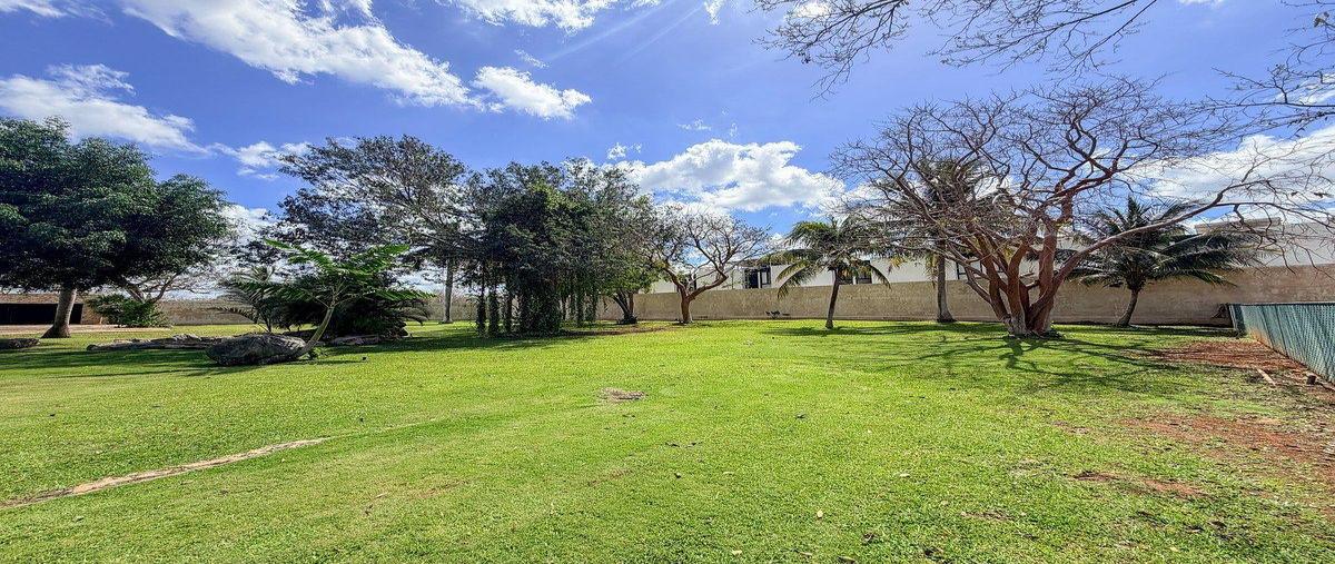 Foto de terreno habitacional en venta en  , dzitya, mérida, yucatán, 30948996 No. 05