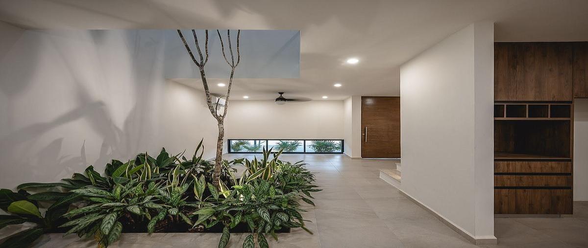 Foto de rancho en renta en  , dzitya, mérida, yucatán, 0 No. 07