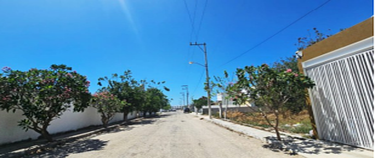 Foto de terreno comercial en , dzitya, mérida, yucatán, 0 foto 01 Foto de terreno comercial en venta en , dzitya, mérida, yucatán, 0 No. 01
