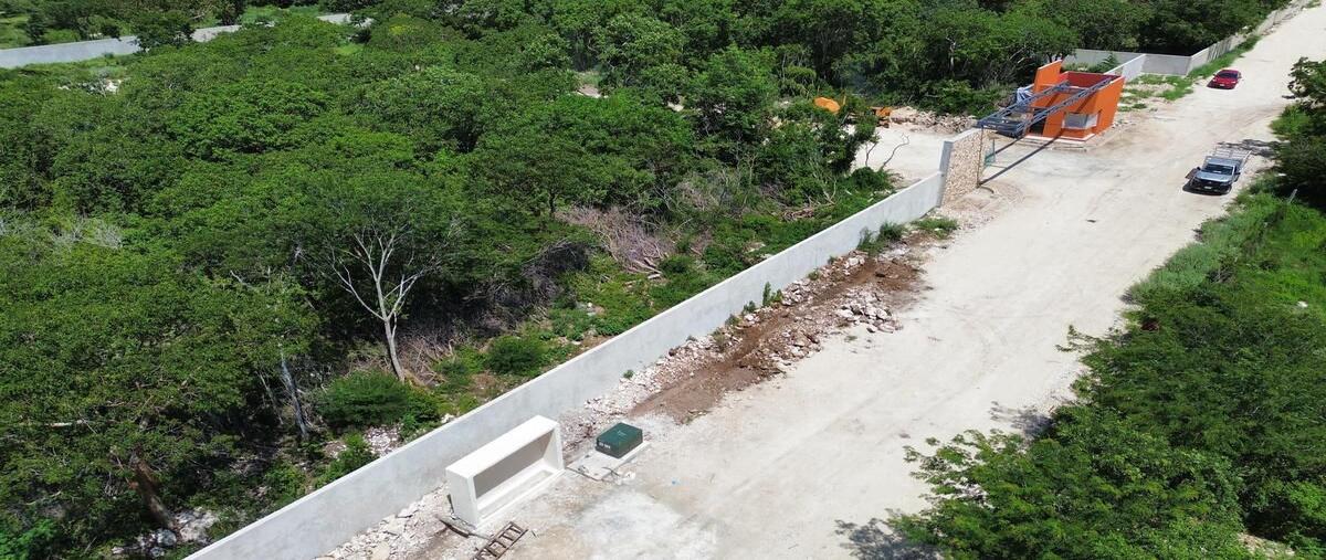 Foto de terreno habitacional en , dzitya, mérida, yucatán, 0 foto 12 Foto de terreno habitacional en venta en , dzitya, mérida, yucatán, 0 No. 12