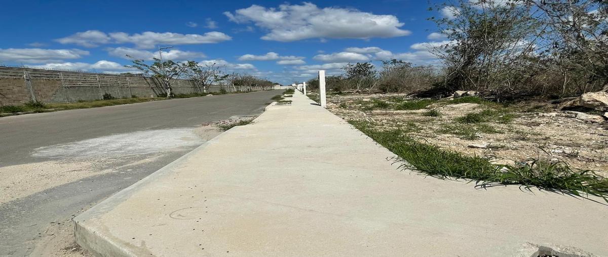 Foto de terreno habitacional en venta en  , dzitya, mérida, yucatán, 0 No. 03