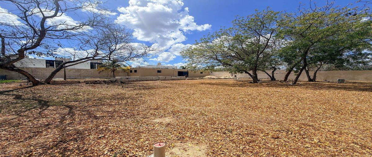 Foto de terreno habitacional en venta en  , dzitya, mérida, yucatán, 0 No. 08