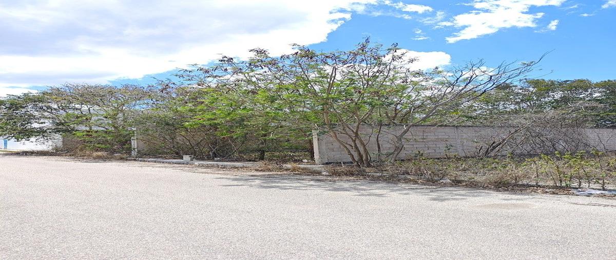 Foto de terreno habitacional en venta en  , dzitya, mérida, yucatán, 0 No. 03