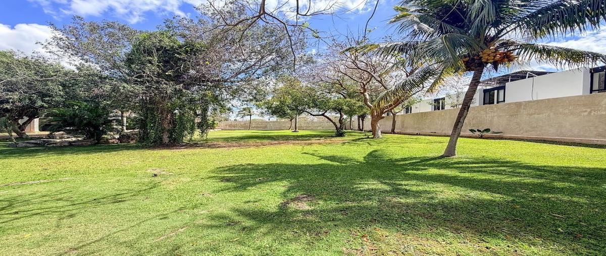 Foto de terreno habitacional en venta en  , dzitya, mérida, yucatán, 0 No. 04