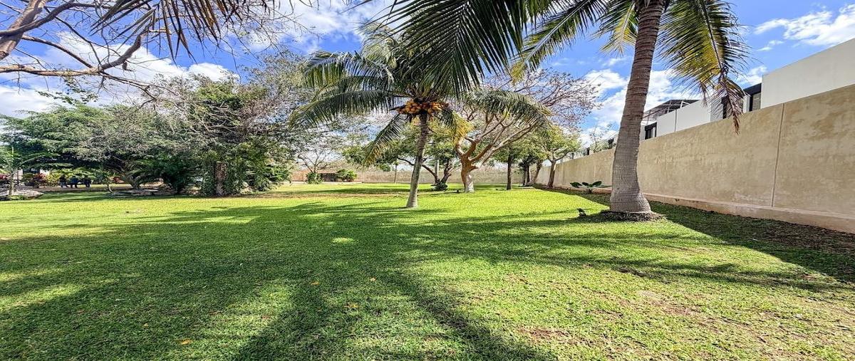 Foto de terreno habitacional en venta en  , dzitya, mérida, yucatán, 0 No. 05