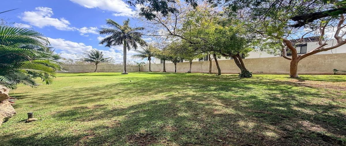 Foto de terreno habitacional en venta en  , dzitya, mérida, yucatán, 0 No. 06