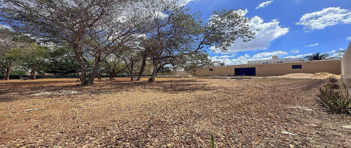 Foto de terreno habitacional en venta en  , dzitya, mérida, yucatán, 0 No. 03