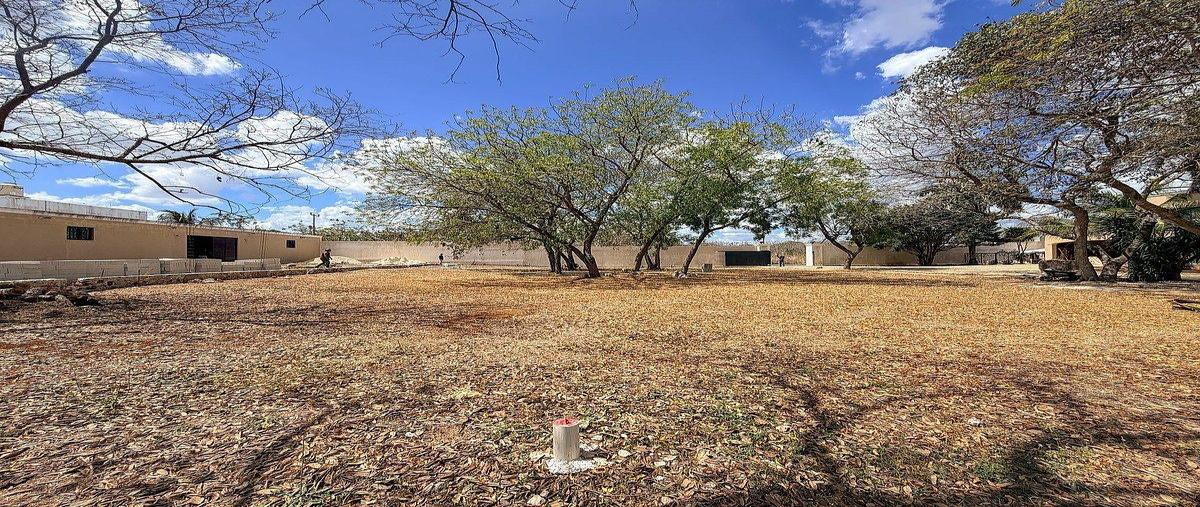 Foto de terreno habitacional en venta en  , dzitya, mérida, yucatán, 0 No. 04