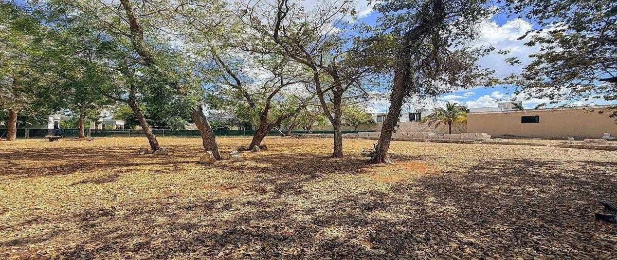 Foto de terreno habitacional en venta en  , dzitya, mérida, yucatán, 0 No. 05