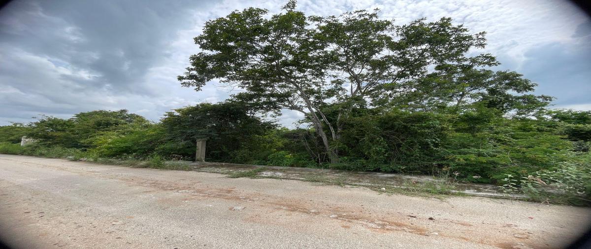 Foto de terreno habitacional en , dzitya, mérida, yucatán, 0 foto 04 Foto de terreno habitacional en venta en , dzitya, mérida, yucatán, 0 No. 04