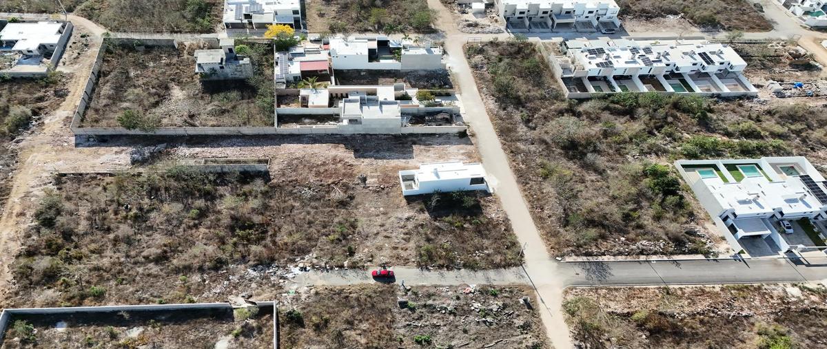 Foto de terreno habitacional en venta en  , dzitya, mérida, yucatán, 0 No. 04