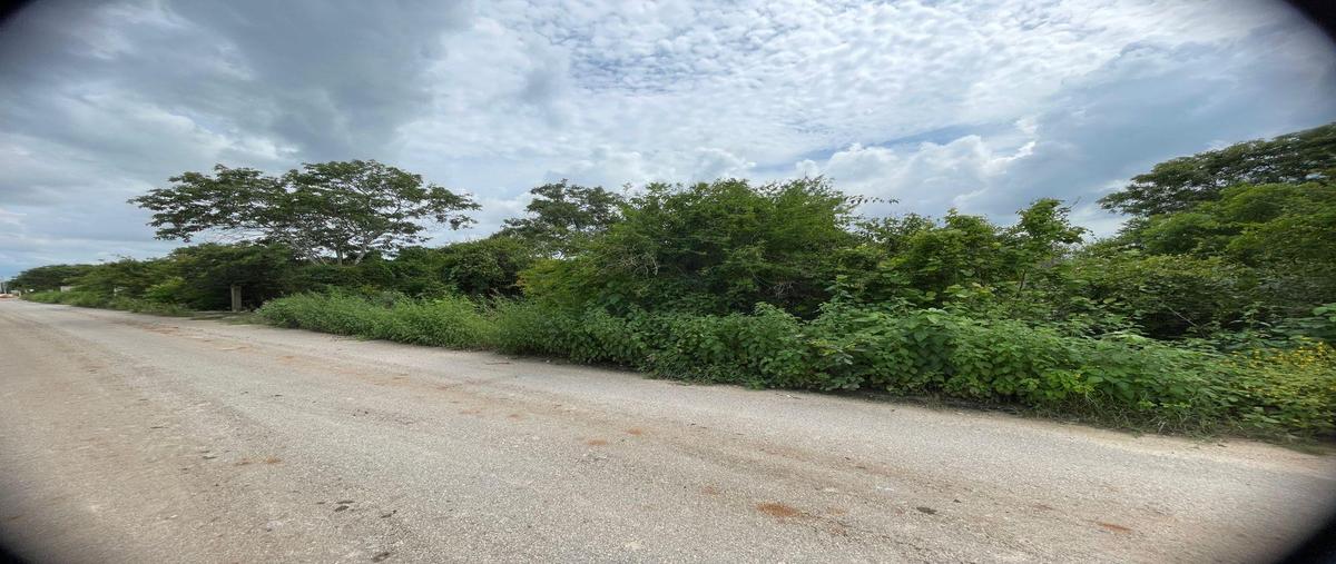 Foto de terreno habitacional en venta en  , dzitya, mérida, yucatán, 0 No. 05