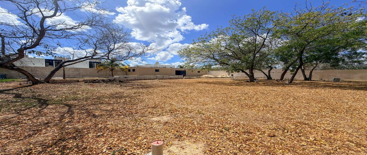 Foto de terreno habitacional en venta en  , dzitya, mérida, yucatán, 0 No. 04