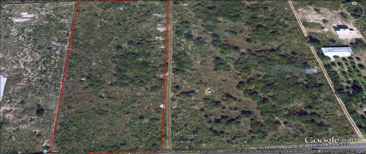 Foto de terreno habitacional en venta en  , dzitya, mérida, yucatán, 7861678 No. 02